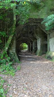 熊延鉄道遺構 八角トンネル 4 熊延鉄道遺構 八角トンネル 4 熊延鉄道,遺構,トンネルの写真素材