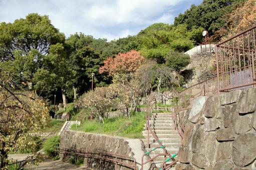 秋の梅林公園（神戸岡本）1 秋,梅林公園,神戸の写真素材