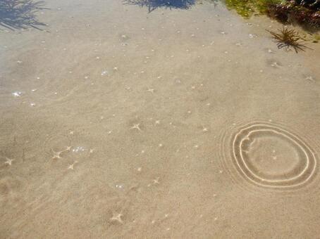 キラキラの水面 キラキラの水面の写真