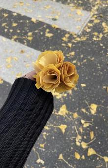 イチョウの花の写真