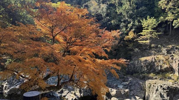 絶景な秋の紅葉 絶景な秋の紅葉 秋,紅葉,もみじの写真素材
