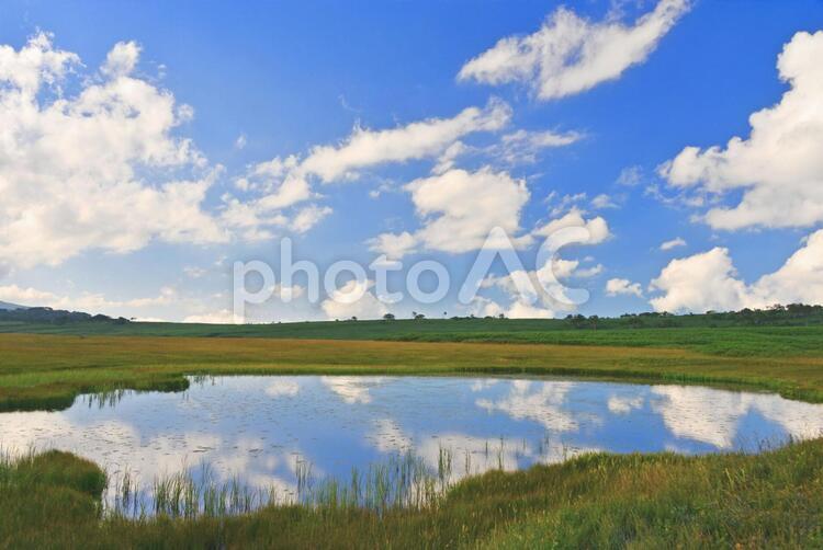 北海道　雨竜沼湿原１ 北海道,湿原,沼の写真素材