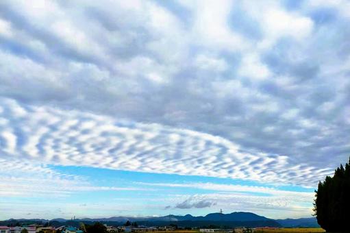 2025年10月の空1 イワシ雲,サバ雲,ウロコ雲の写真素材