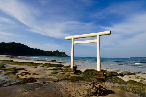 鵜原海岸 鵜原海岸の写真