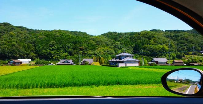 車窓からの青田と日本家屋 車窓からの青田と日本家屋 車窓,田園風景,田の写真素材