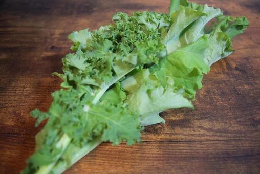 新鮮なオーガニックケールの葉 新鮮なオーガニックケールの葉の写真