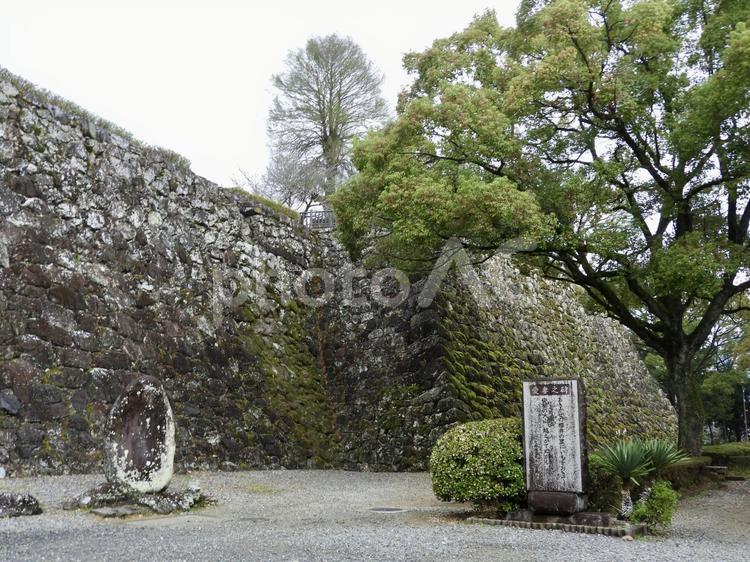 土佐高知城三の丸石垣 高知城,高知市,城の写真素材