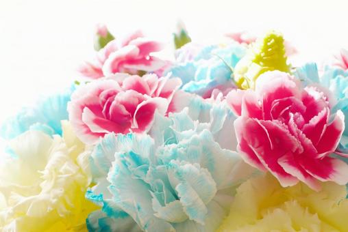 色鮮やかなカーネーション カーネーション,花束,カラフルの写真素材