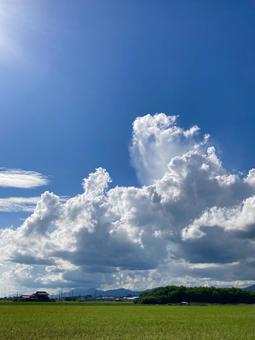 入道雲と青空と田んぼ(縦) 入道雲と青空と田んぼ(縦)の写真