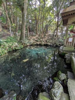 茨城 泉神社の泉 茨城 泉神社の泉 建造物,日本,外観の写真素材