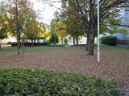 公園 公園の写真