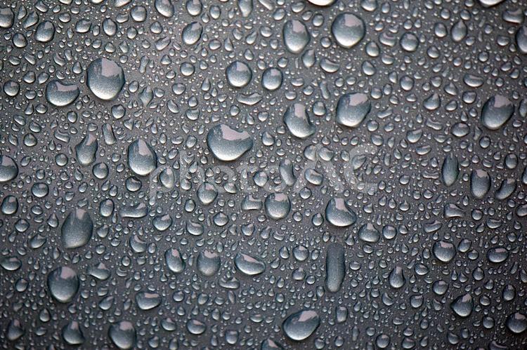 洗車した車のボディーの水玉 水玉,水滴,丸いの写真素材