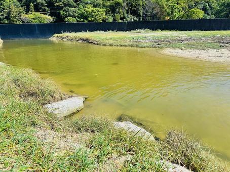 田原海水浴場 夏の海岸 田原海水浴場 夏の海岸 田原海水浴場,海水浴場,海の写真素材