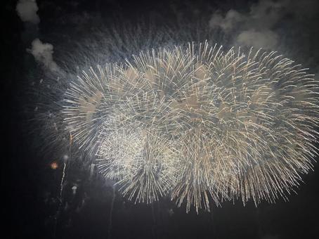 空一面の花火 空一面の花火の写真