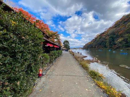 桂川沿いの小道 桂川沿いの小道 京都,嵐山,秋の写真素材