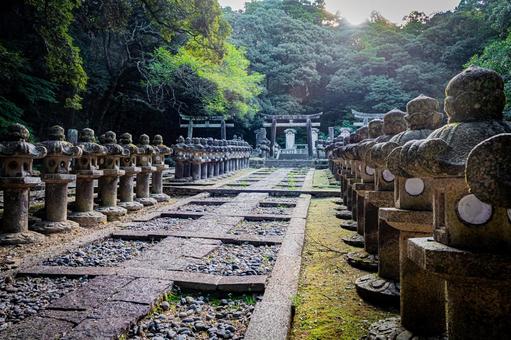 山口県　萩藩主毛利家墓所（東光寺） 萩藩主毛利家墓所,東光寺,萩の写真素材
