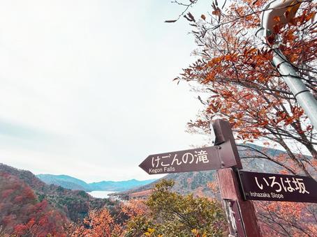 紅葉の華厳の滝展望台から望む、明智平 紅葉,秋,風景の写真素材