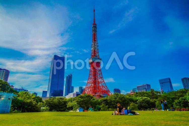 プリンス芝公園から東京タワー 東京タワー,芝生,青空の写真素材