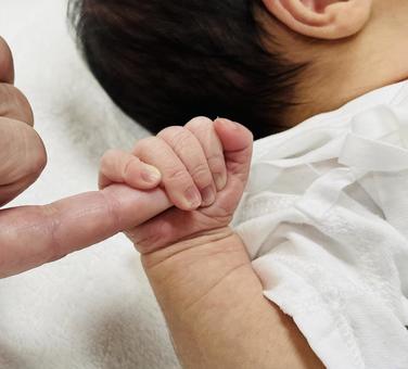 新生児の手 新生児の手 赤ちゃん,新生児,手の写真素材
