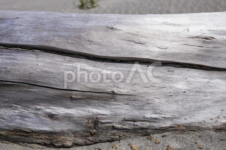 伊古部の流木4 流木,マーブル,木肌の写真素材