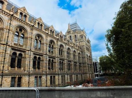 イギリス イギリス ロンドン,イギリス,観光地の写真素材