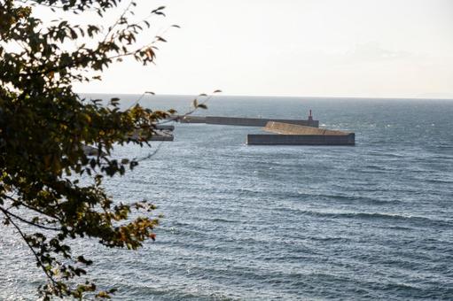 堤防 海,堤防,防波堤の写真素材