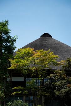 ［神奈川県鎌倉市］海蔵寺｜花の寺 鎌倉,海蔵寺,寺の写真素材