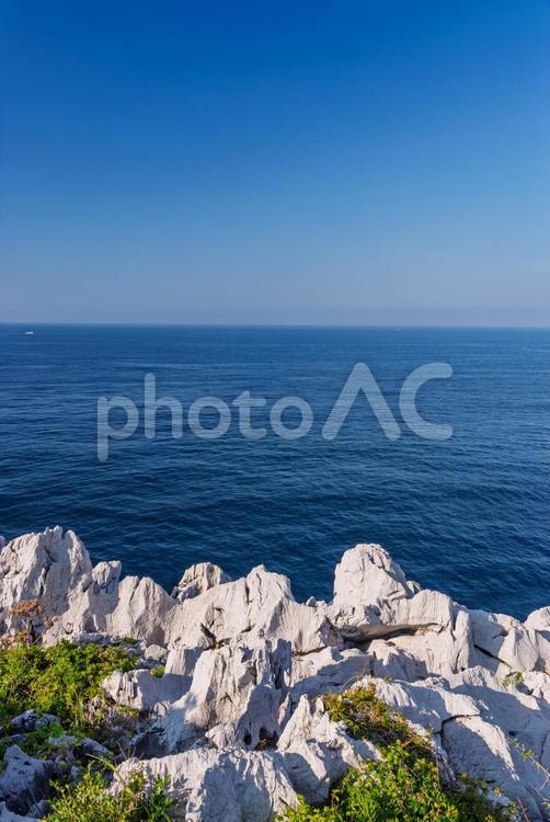 白崎海洋公園展望台からの景色 海,海岸,石灰岩の写真素材