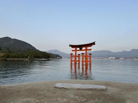 海に浮かぶ鳥居 海に浮かぶ鳥居 厳島神社,鳥居,神社の写真素材