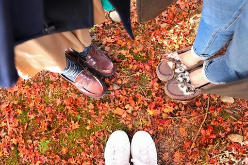 紅葉狩りの足元 紅葉,もみじ,赤の写真素材