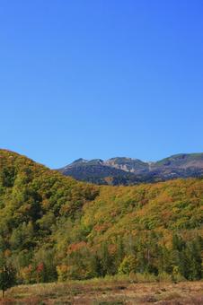 紅葉の乗鞍高原 乗鞍高原,紅葉,秋の写真素材