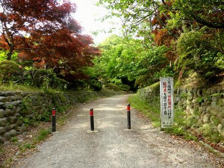 源氏山公園、車侵入禁止の山道風景 道,道路,車道の写真素材
