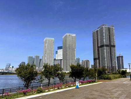 豊洲公園から見た東京の街 2025年春 豊洲公園から見た東京の街 2025年春 東京,港区,豊洲の写真素材
