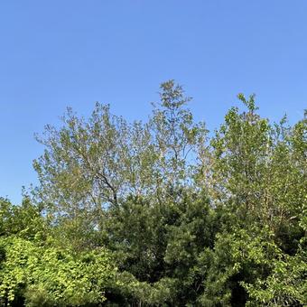 この風景が好きの写真