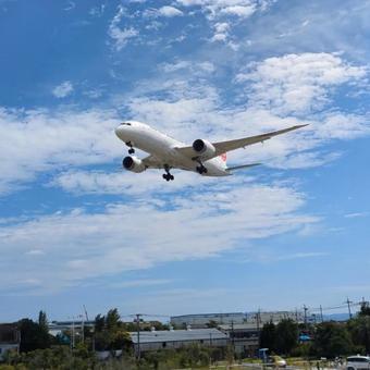 飛行機 飛行機の写真
