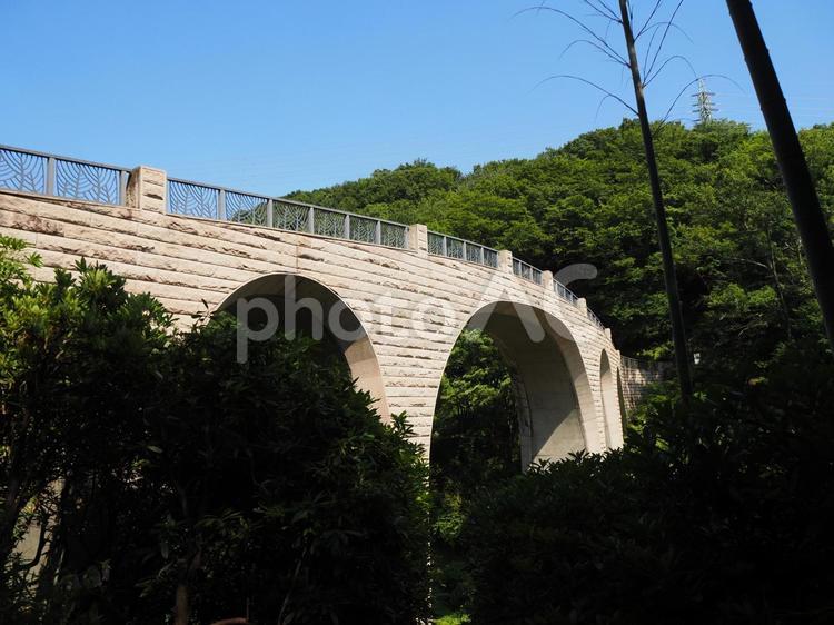 夏の七沢森林公園・森のかけはし（厚木市） 夏,七沢森林公園,森のかけはしの写真素材