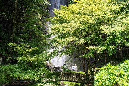 佐賀-【清水の滝】 佐賀,小城市,清水の滝の写真素材