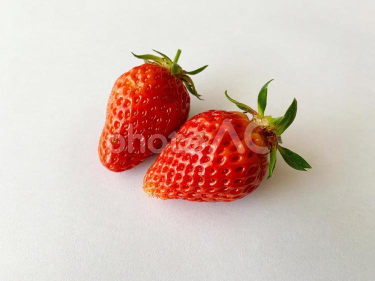いちご03 いちご,苺,イチゴの写真素材