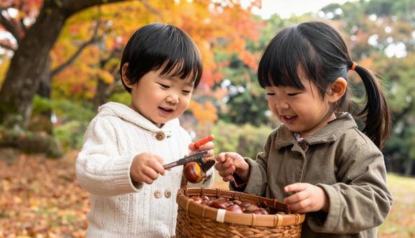 栗拾いをする日本人の子供たちの写真