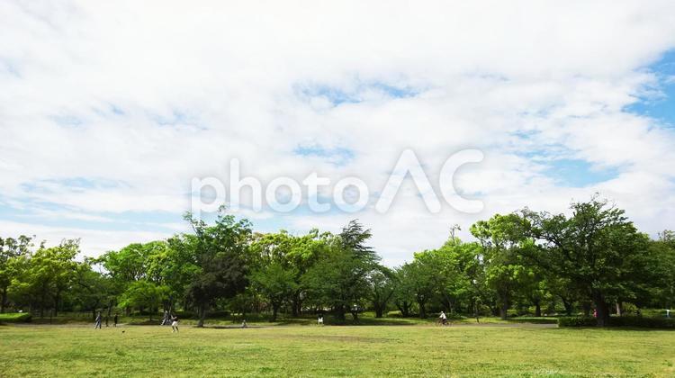 大きな公園と大きな空 大きい,公園,空の写真素材