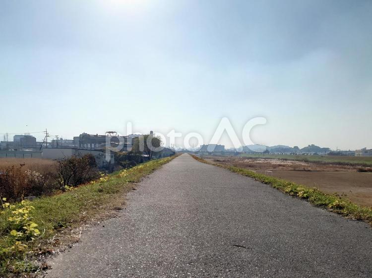 晴れ渡る堤防の一本道 道,晴れ,堤防の写真素材