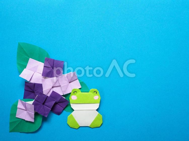 アジサイとカエル 背景素材 あじさい,カエル,背景素材の写真素材