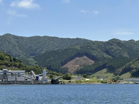 海越しに見える山の伐採地 海越しに見える山の伐採地 山,伐採,自然の写真素材