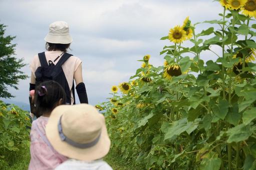 ひまわり園を散歩する親子 ひまわり園を散歩する親子の写真