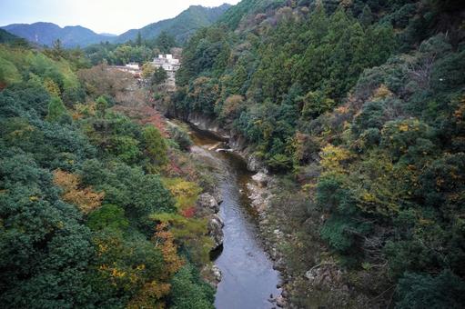 山間の集落と渓流を見下ろす 渓流,川,谷の写真素材