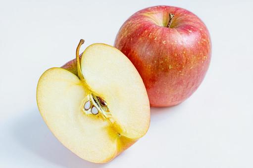 早生ふじりんご 白背景 りんご,早生ふじ,林檎の写真素材