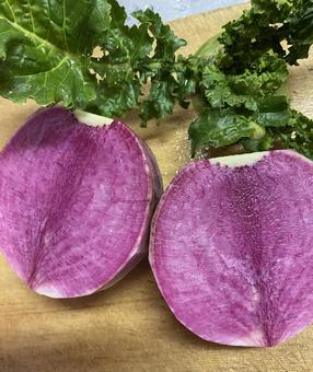 赤かぶ 赤かぶ 赤かぶ,野菜,かぶの写真素材
