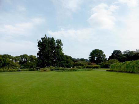 大船フラワーセンターの広大な芝生広場 芝生,広場,植物の写真素材
