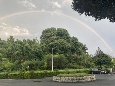 虹 虹の写真