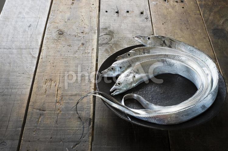 和食器の上のタチウオ_文字スペース タチウオ,太刀魚,たちうおの写真素材